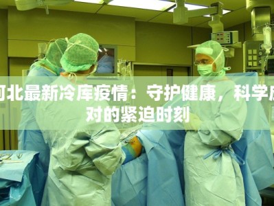 河北最新冷库疫情：守护健康，科学应对的紧迫时刻
