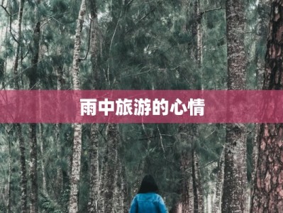 雨中旅游的心情