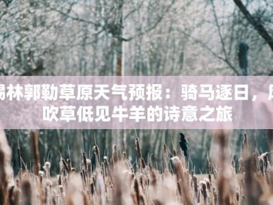 锡林郭勒草原天气预报：骑马逐日，风吹草低见牛羊的诗意之旅