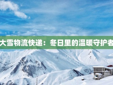 大雪物流快递：冬日里的温暖守护者