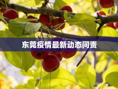 鞠婧祎小号美食：偶像的隐秘味蕾之旅