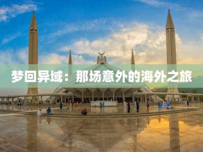 梦回异域：那场意外的海外之旅