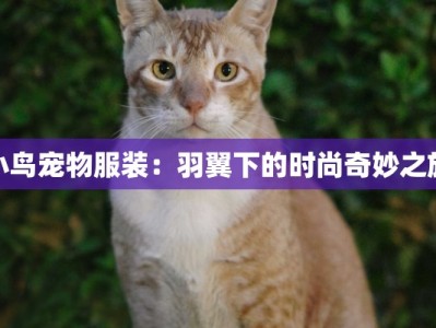 小鸟宠物服装：羽翼下的时尚奇妙之旅
