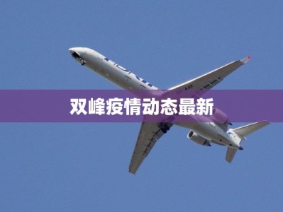 双峰疫情动态最新