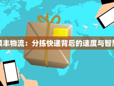 顺丰物流：分拣快递背后的速度与智慧