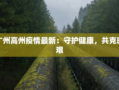 广州高州疫情最新：守护健康，共克时艰