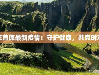 龙首原最新疫情：守护健康，共克时艰
