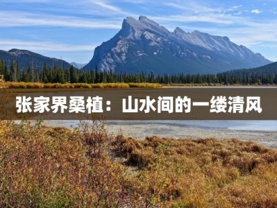 张家界桑植：山水间的一缕清风