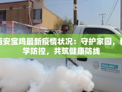 西安宝鸡最新疫情状况：守护家园，科学防控，共筑健康防线