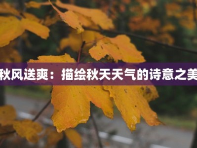 秋风送爽：描绘秋天天气的诗意之美