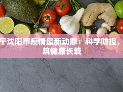 辽宁沈阳市疫情最新动态：科学防控，共筑健康长城