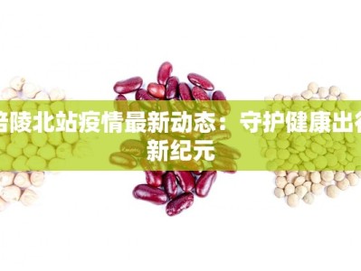 合肥疫情最新实况：科学防控，共筑健康屏障