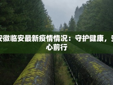 安徽临安最新疫情情况：守护健康，安心前行