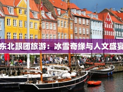 东北跟团旅游：冰雪奇缘与人文盛宴