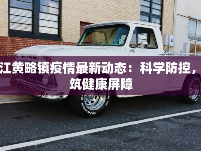 物流快递营业资格：开启高效物流新时代的黄金钥匙