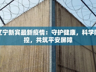 辽宁新宾最新疫情：守护健康，科学防控，共筑平安屏障