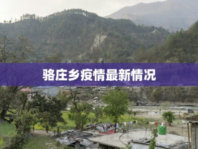 骆庄乡疫情最新情况