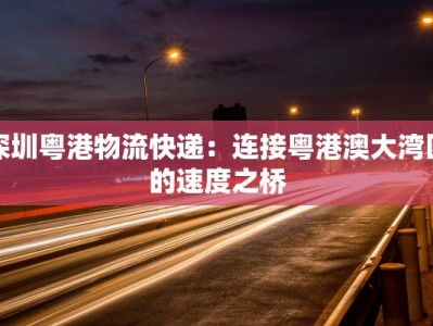 深圳粤港物流快递：连接粤港澳大湾区的速度之桥