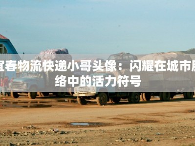 宜春物流快递小哥头像：闪耀在城市脉络中的活力符号