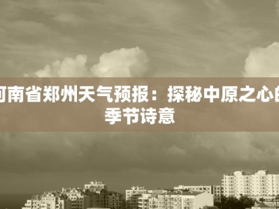 快递物流都包办：一站式服务，解放您的双手