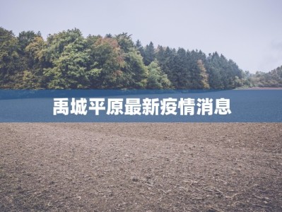 长葛疫情概况最新