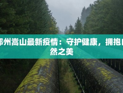 邮行李用物流还是快递？揭秘最优出行方案