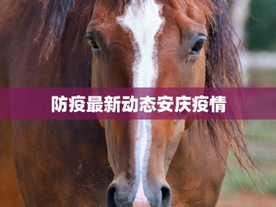 物流快递纠纷事件处理：化解烦恼，畅享便捷