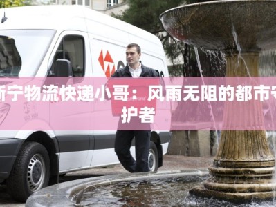 新宁物流快递小哥：风雨无阻的都市守护者