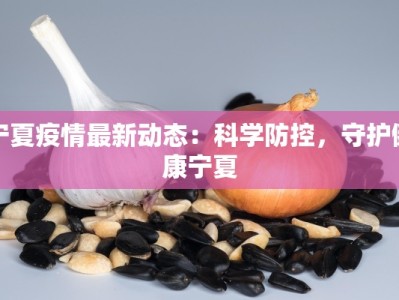 宁夏疫情最新动态：科学防控，守护健康宁夏