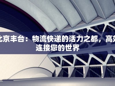 北京丰台：物流快递的活力之都，高效连接您的世界