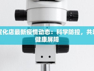 宣化店最新疫情动态：科学防控，共筑健康屏障