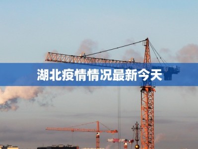 湖北疫情情况最新今天