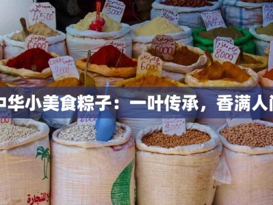 中华小美食粽子：一叶传承，香满人间