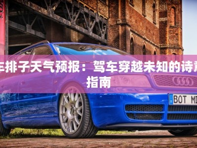 车排子天气预报：驾车穿越未知的诗意指南