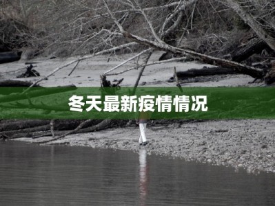 京东物流快递费用表详解：聪明选择，省钱又高效