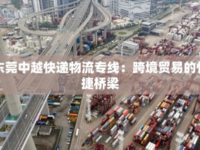 东莞中越快递物流专线：跨境贸易的快捷桥梁