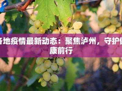 各地疫情最新动态：聚焦泸州，守护健康前行