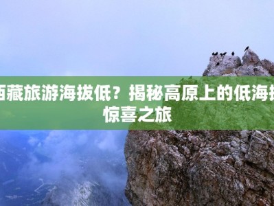 西藏旅游海拔低？揭秘高原上的低海拔惊喜之旅