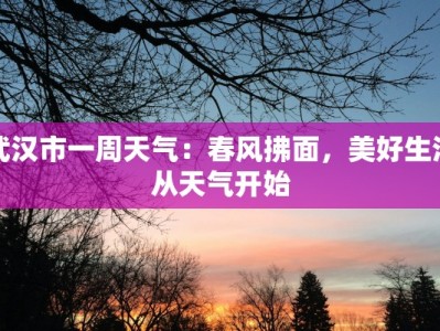 武汉市一周天气：春风拂面，美好生活从天气开始