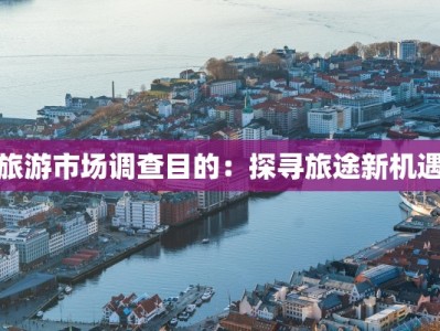 旅游市场调查目的：探寻旅途新机遇