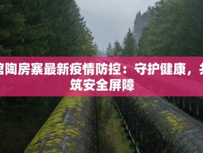 馆陶房寨最新疫情防控：守护健康，共筑安全屏障