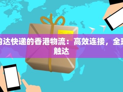 韵达快递的香港物流：高效连接，全球触达
