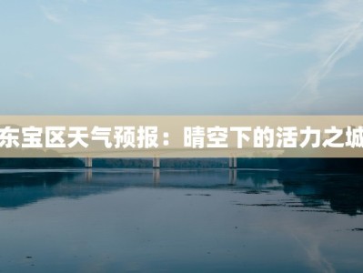 东宝区天气预报：晴空下的活力之城