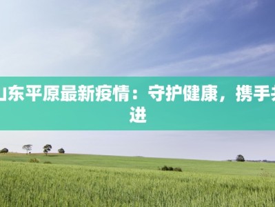 山东平原最新疫情：守护健康，携手共进