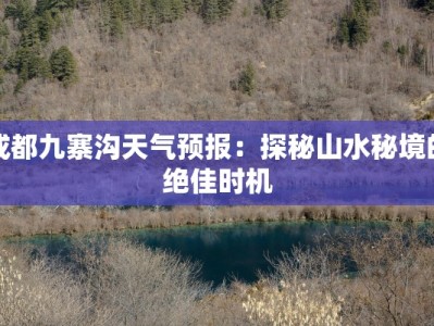 坦洲全民广场美食探秘：味蕾的狂欢之旅