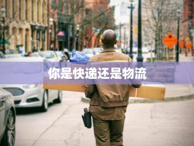 你是快递还是物流