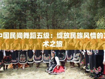 中国民间舞蹈五级：绽放民族风情的艺术之旅
