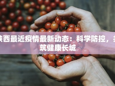 陕西最近疫情最新动态：科学防控，共筑健康长城