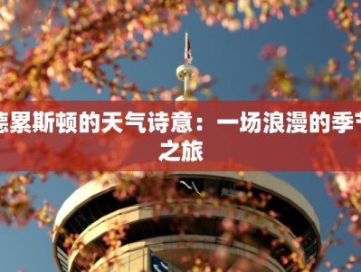 德累斯顿的天气诗意：一场浪漫的季节之旅