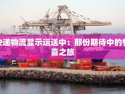 快递物流显示运送中：那份期待中的惊喜之旅